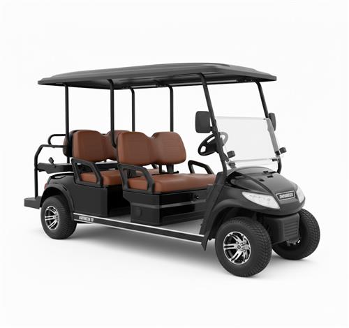 Golf Cart w/ Speakers (Lithium)